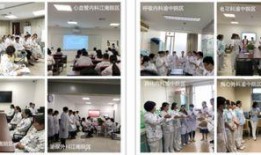 医科大学爆料事件最新情况,真相逐步浮出水面，最新进展揭秘