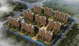 禹洲最新爆料2020年,揭秘年度热点与行业动向