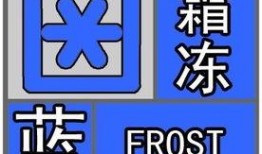 福清最新爆料视频,一窥当地发展新动态