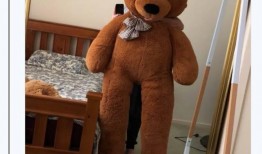 teddy最新爆料,TEDDY最新爆料，带你一探究竟！