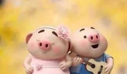 猪婆老公最新爆料图片,最新辣图大揭秘！