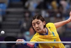 成都混团王楚钦陈梦最新爆料,揭秘成都混团背后的精彩故事