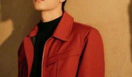 肖战热巴最新爆料,揭秘幕后故事，精彩瞬间曝光