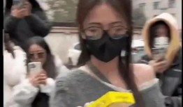 文安吃瓜爆料视频最新,揭秘娱乐圈最新热点事件