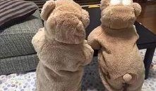 teddy最新爆料,TEDDY最新爆料，带你一探究竟！