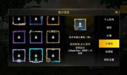 最新国际服爆料视频网站,游戏内容大曝光！