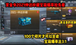 珍藏宝箱最新爆料,探寻历史宝藏的神秘面纱