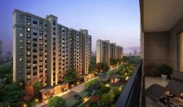 禹洲最新爆料2020年,揭秘年度热点与行业动向