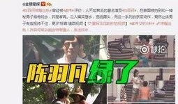 王海鑫最新爆料视频大全,揭秘事件真相与幕后黑幕
