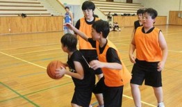 石家庄篮球爆料事件最新,真相与争议交织的幕后故事